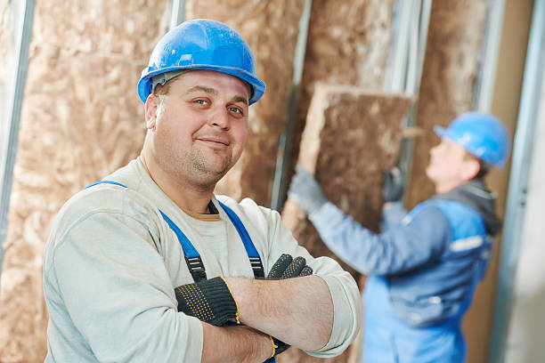 Best Cellulose Insulation in Fairview Heights, IL